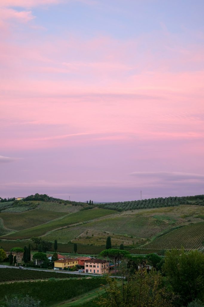 Vigna di L’avventura a Piglio.