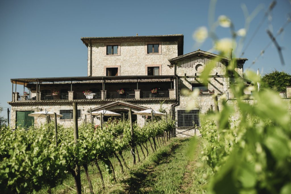 Filari davanti alla casa dell’azienda.