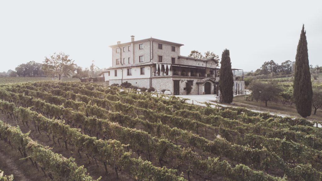 Il casale in pietra del wine resort Casale Verde Luna sulla collina di Piglio, con i filari de L’avventura in primo piano.