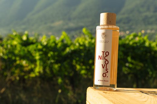 Tonico viso Vinea Lux tra le vigne di Piglio.